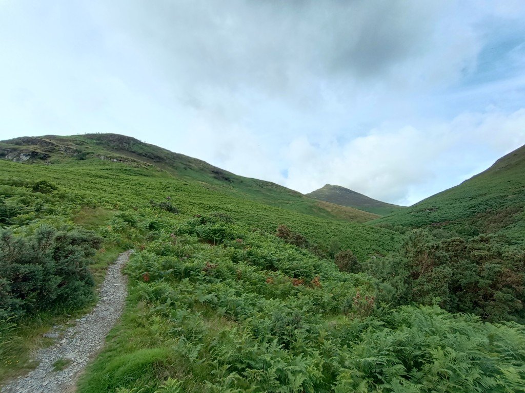 Climbing Causey Pike...