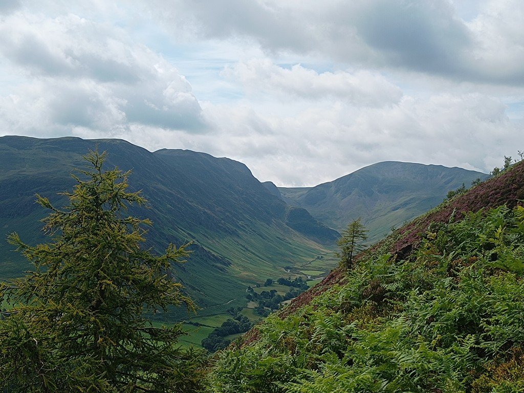 Newlands