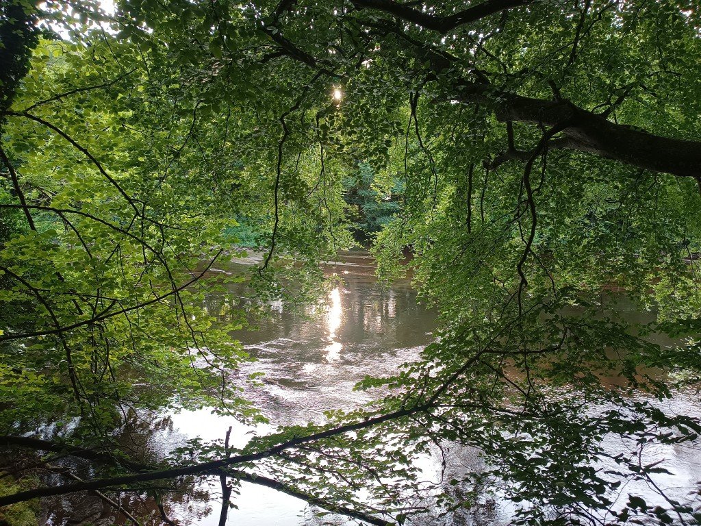 The River Eden at Armathwaite...