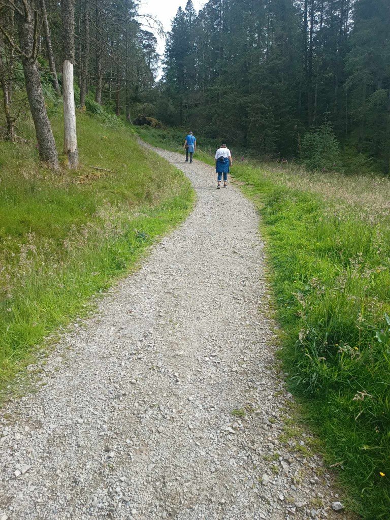 received_2748545405336628 (Medium).jpeg