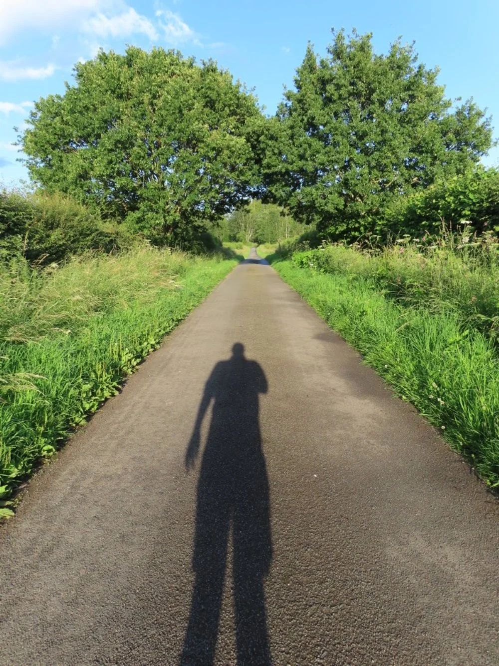 Shadow