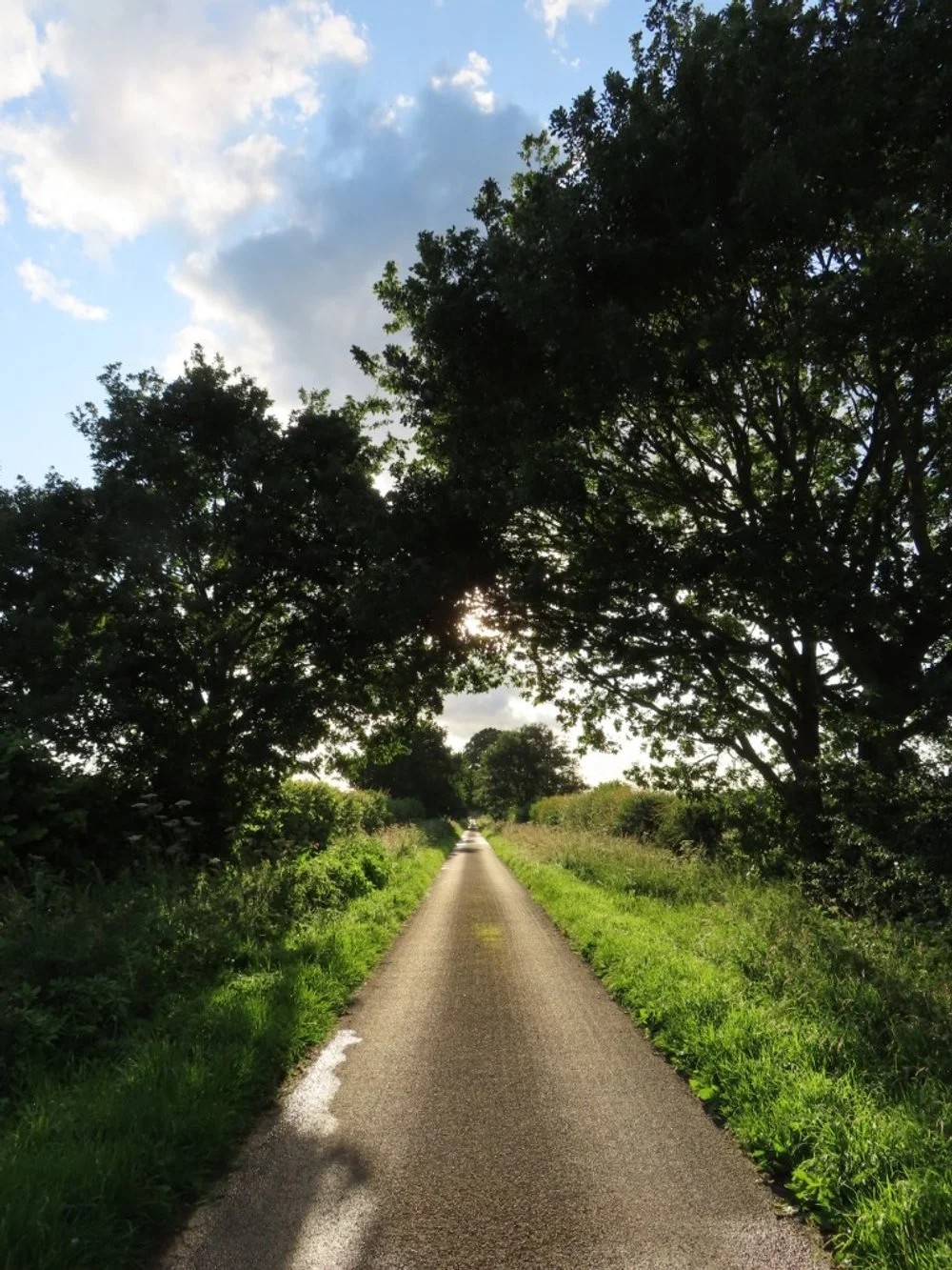 Pathway 13