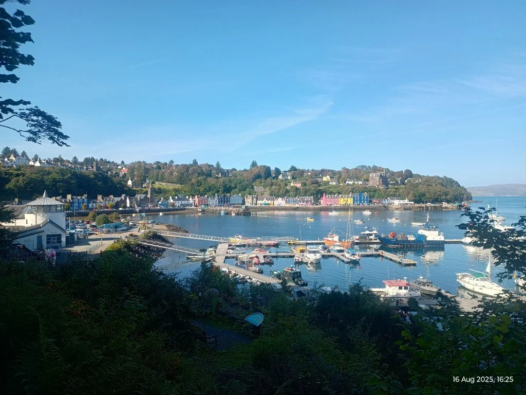 IMG_20250816_162504824_HDR (Medium).jpg