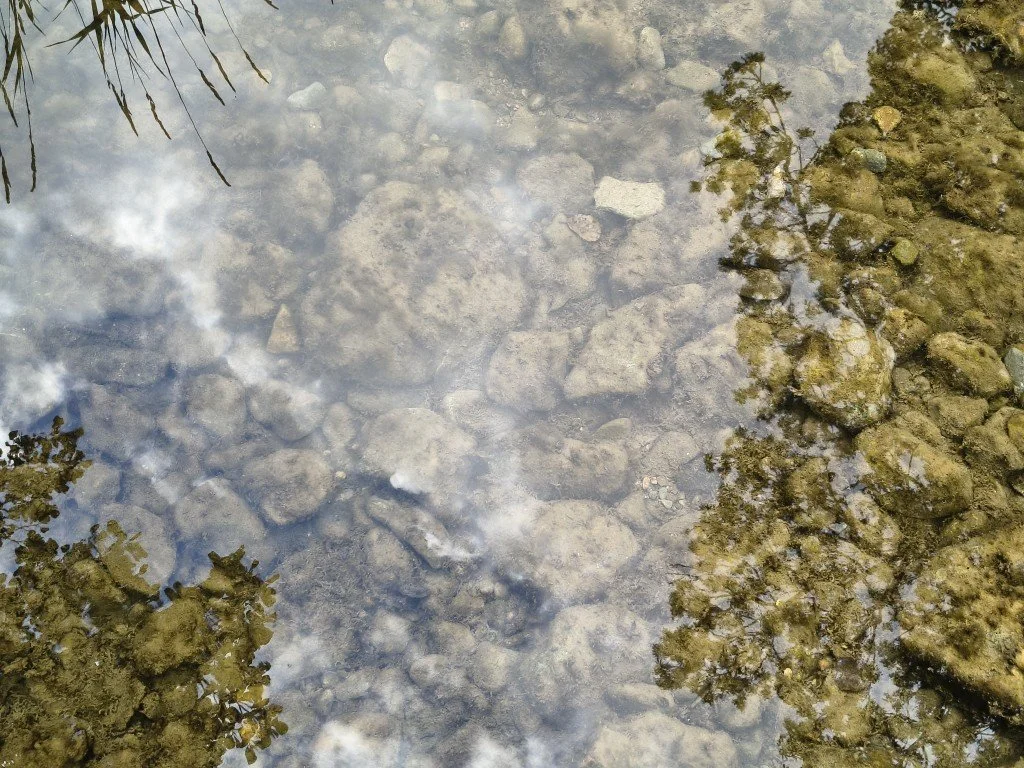 A moment of reflection.