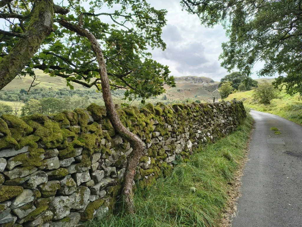 Into Swindale...