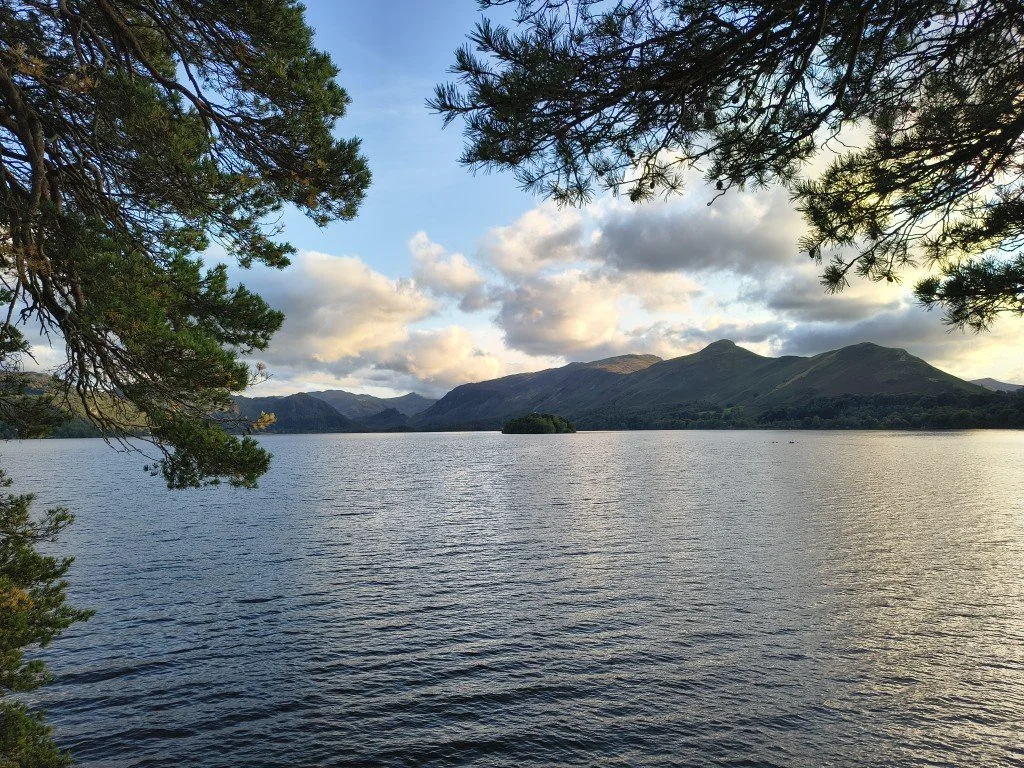 IMG_20250905_185659184_HDR (Medium).jpg