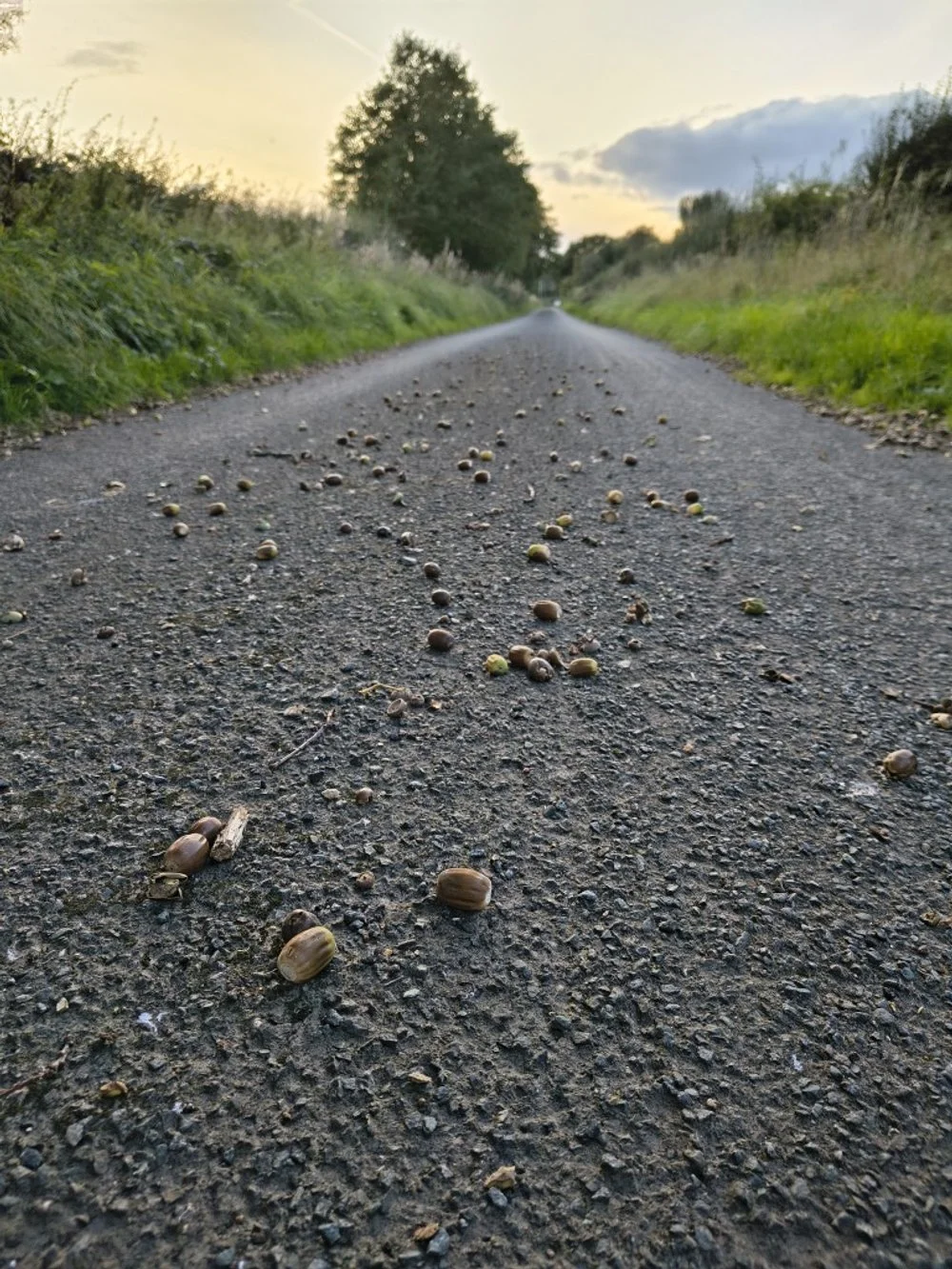 Autumn is upon us...