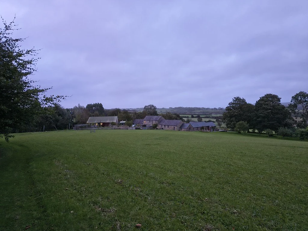 The setting.