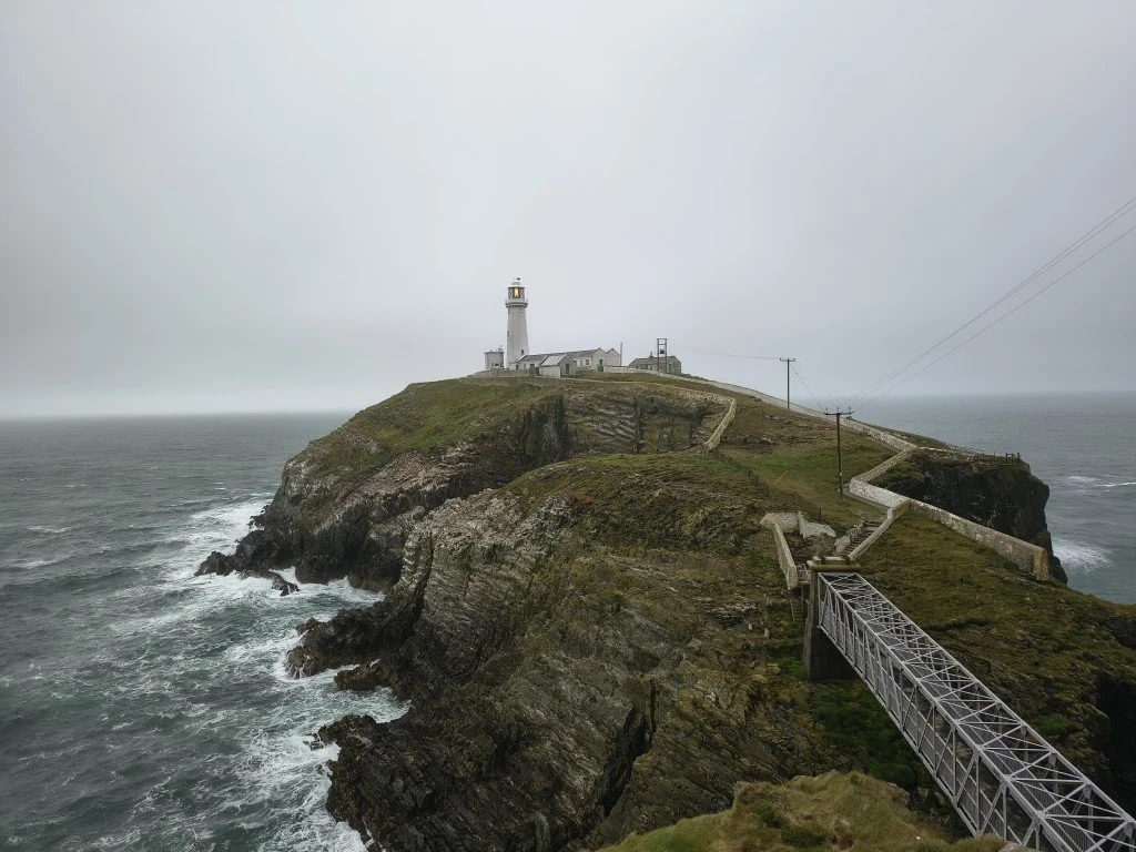 IMG_20250918_165931965_HDR (Medium).jpg
