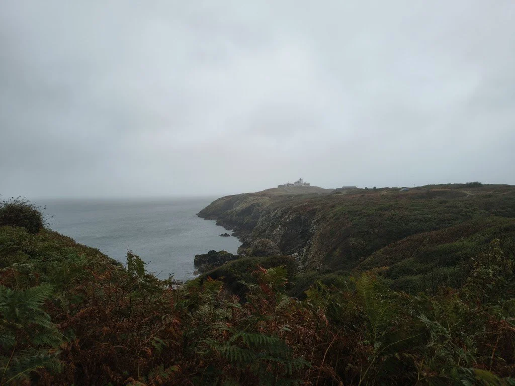 IMG_20250919_140545579_HDR (Medium).jpg
