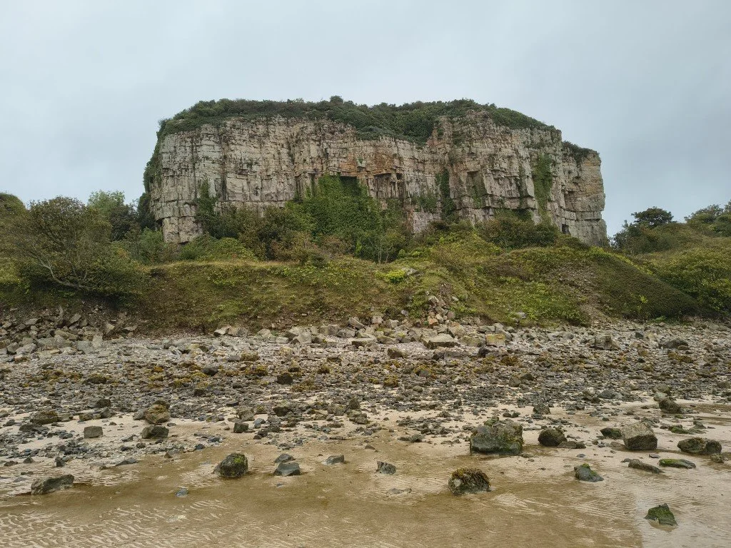 IMG_20250919_154756416_HDR (Medium).jpg