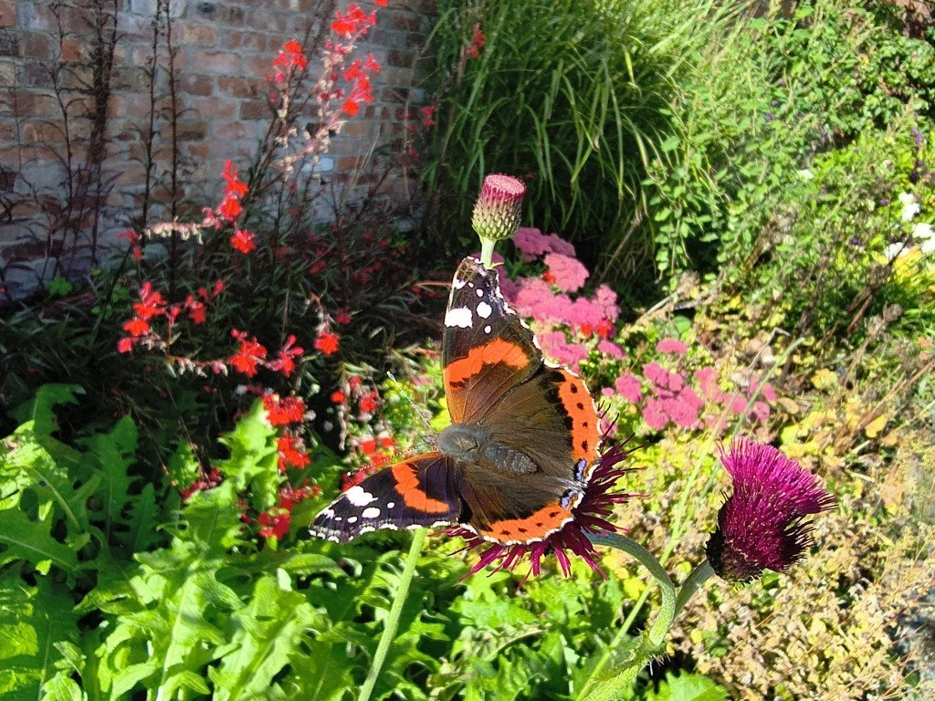 In the Gardens at Lingholm...