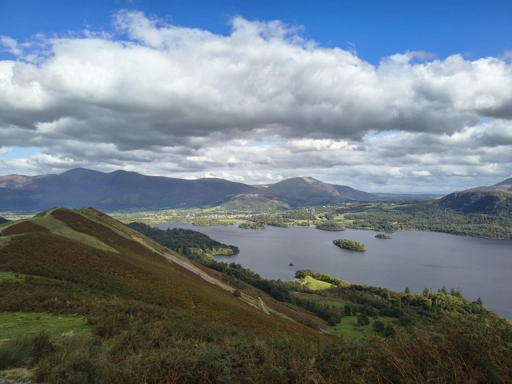 IMG_20250926_125149811_HDR (Medium).jpg