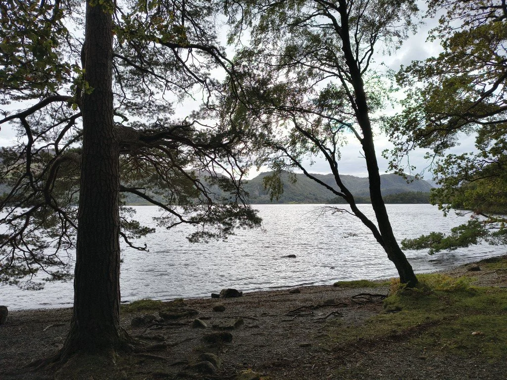 IMG_20250926_142541971_HDR (Medium).jpg