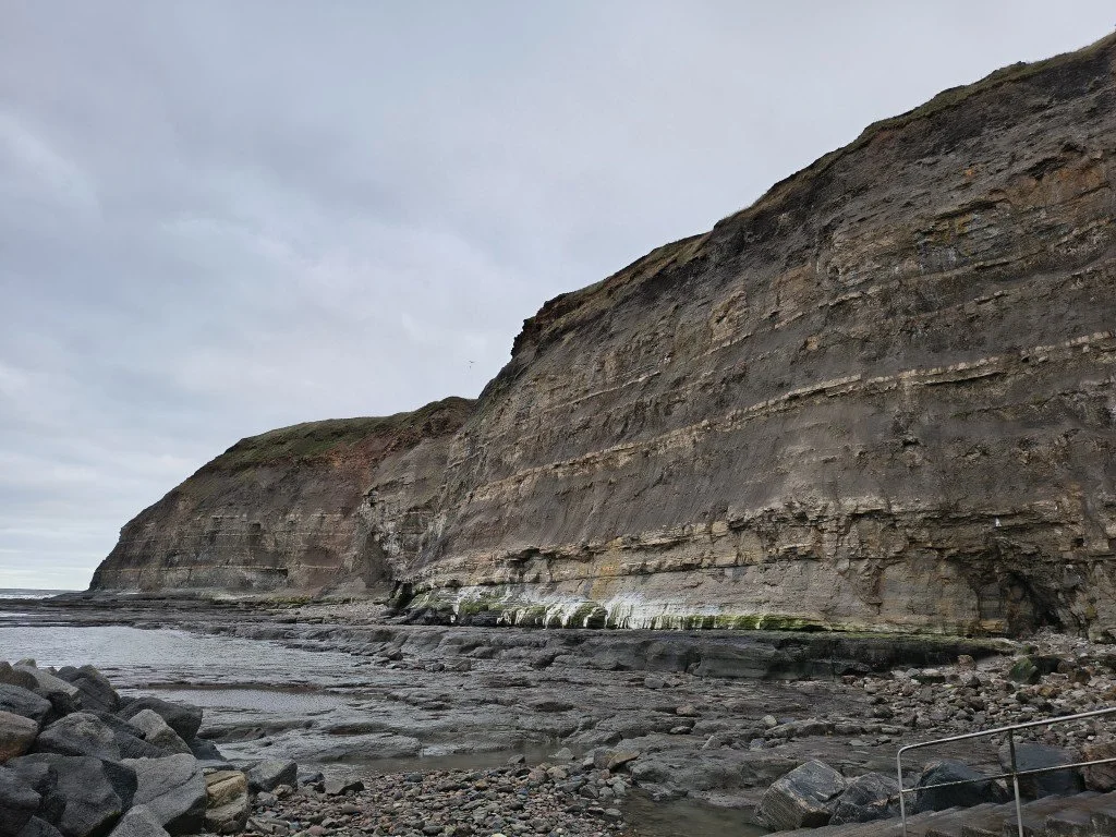 IMG_20251225_104538594_HDR (Medium).jpg