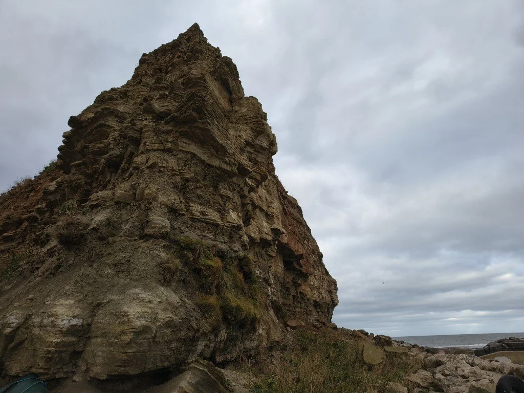 IMG_20251225_105549442_HDR (Medium).jpg