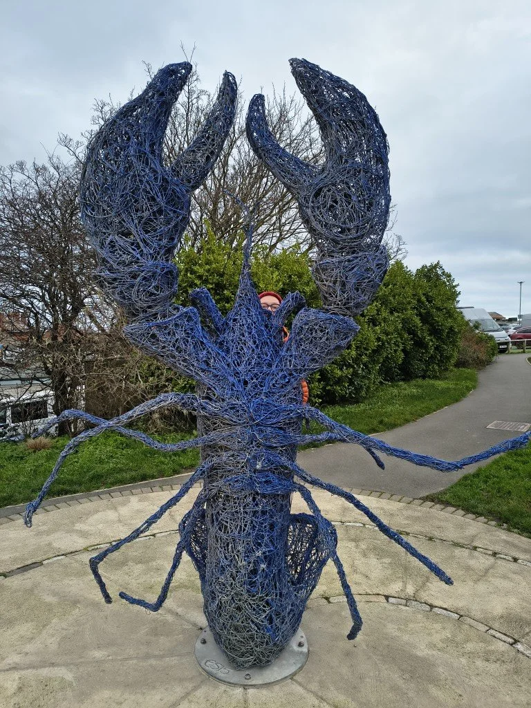 IMG_20251225_111755132_HDR (Medium).jpg