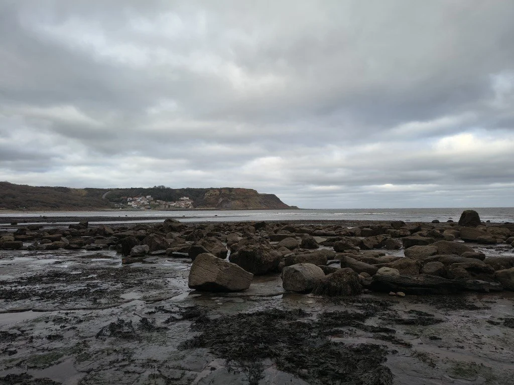 IMG_20251225_115743003_HDR (Medium).jpg