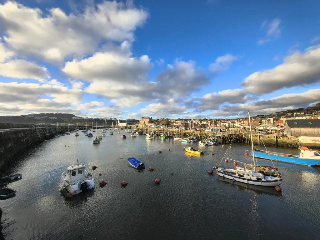 IMG_20251226_102526597_HDR (Medium).jpg