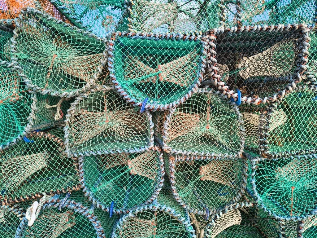 IMG_20251226_103121107_HDR (Medium).jpg