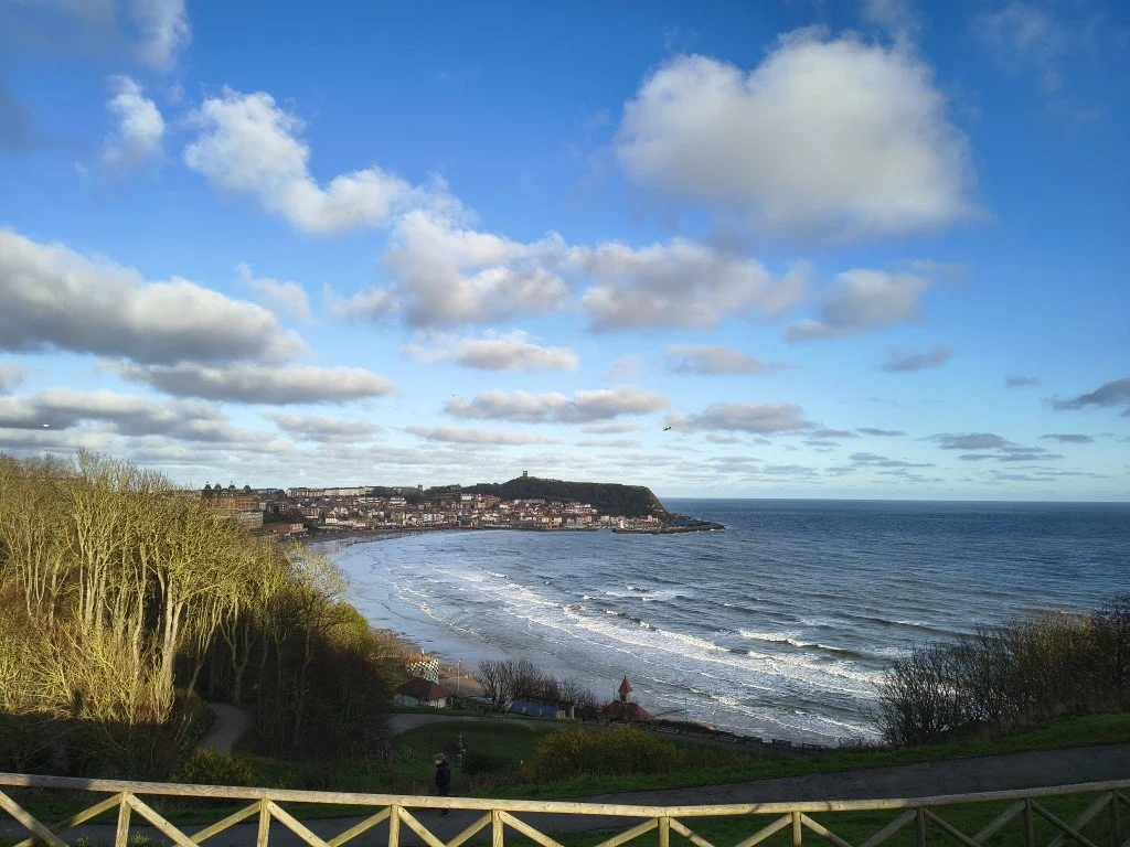 IMG_20251226_110902396_HDR (Medium).jpg