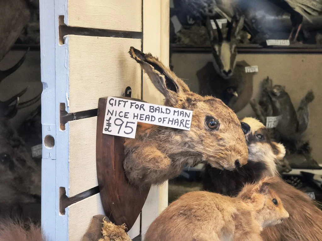 IMG_20251226_113510866_HDR (Medium).jpg