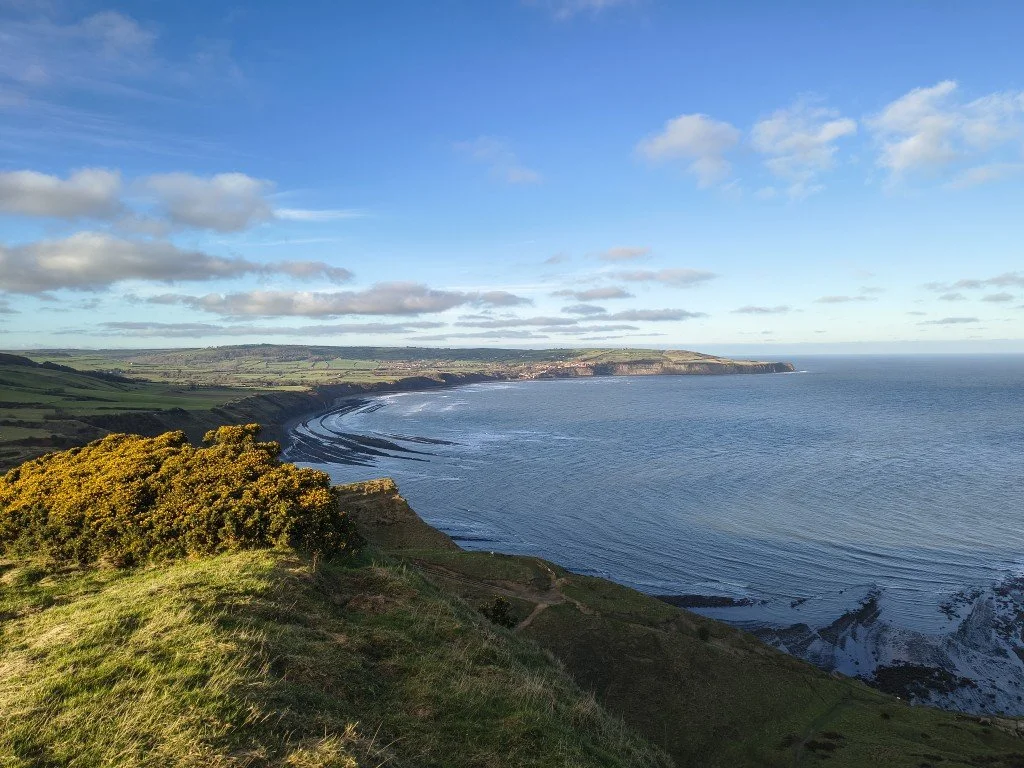 IMG_20251226_124218928_HDR (Medium).jpg