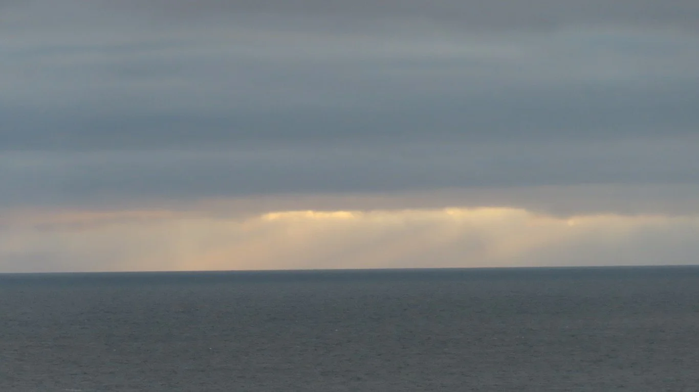 IMG_20251227_093506007_HDR (Medium)a.JPG