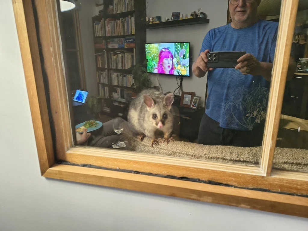 The roof possums gave us no privacy!!