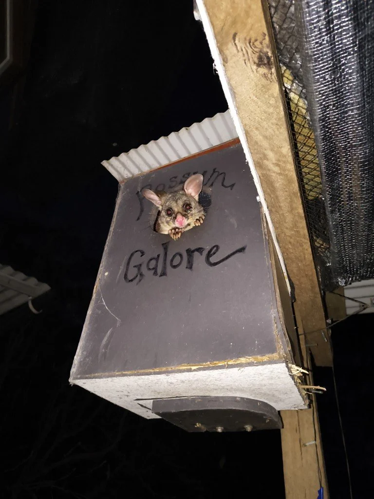 After eviction, having to make do with old boxes...