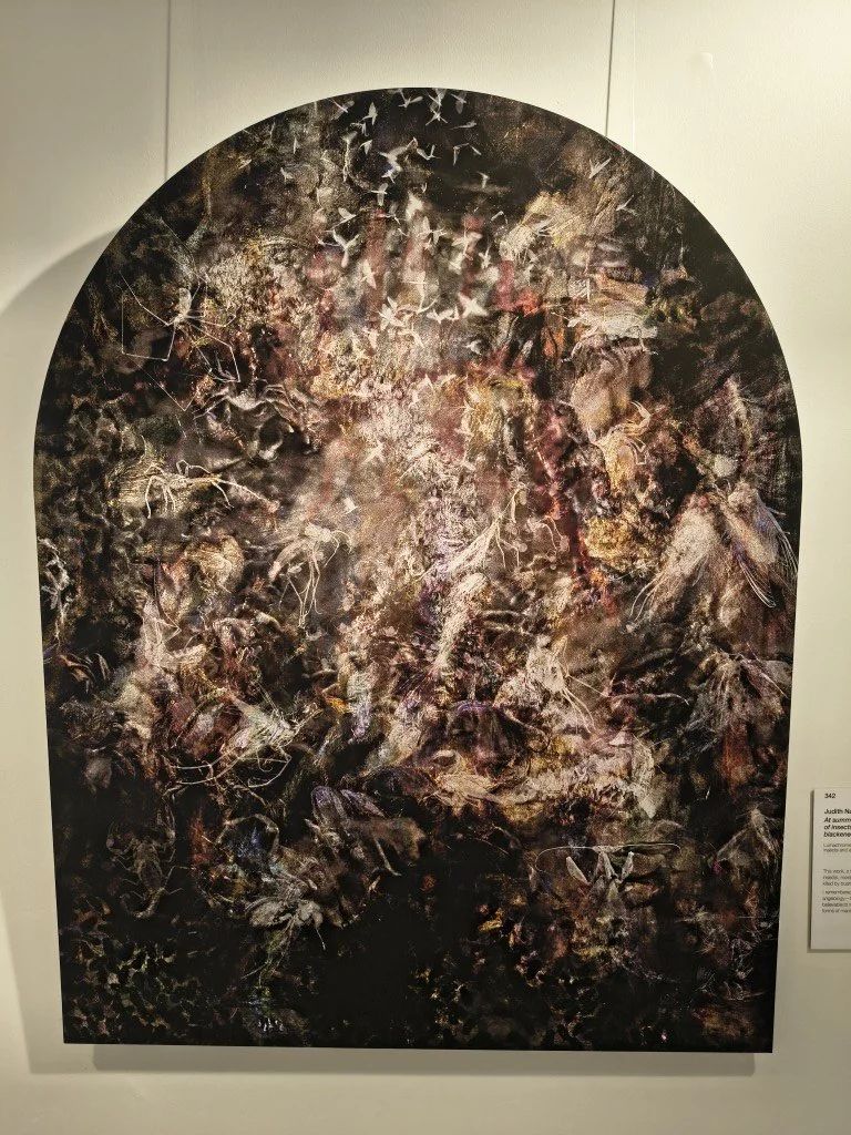 At summer's end, night choirs of insects serenade the fire-blackened trees by Judith Nangala Crispin.