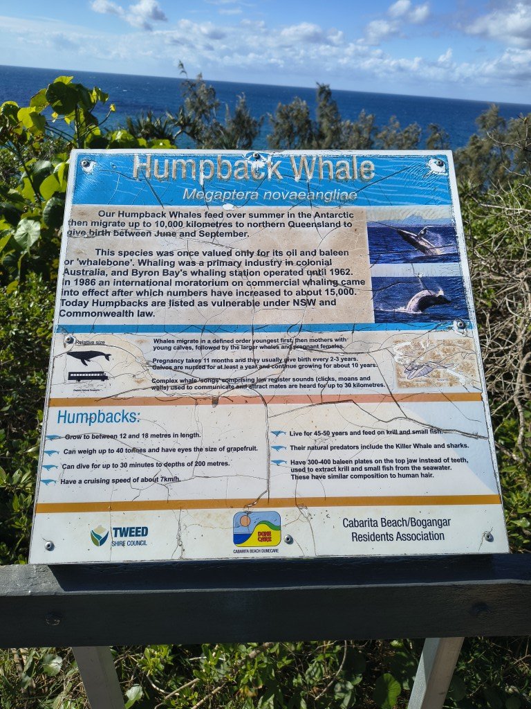 IMG_20260705_125334751_HDR (Medium).jpg