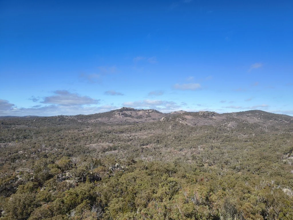 Mt Norman...
