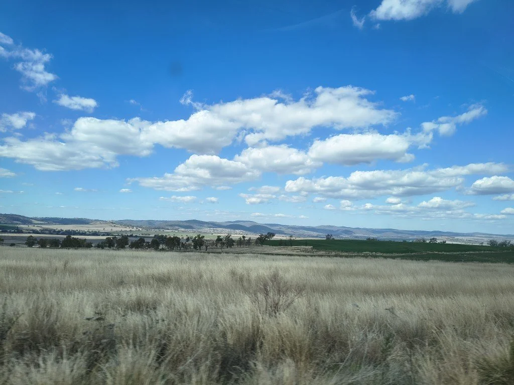 IMG_20260731_122733574_HDR (Medium).jpg