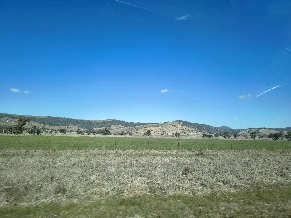 IMG_20260731_143800472_HDR (Medium).jpg