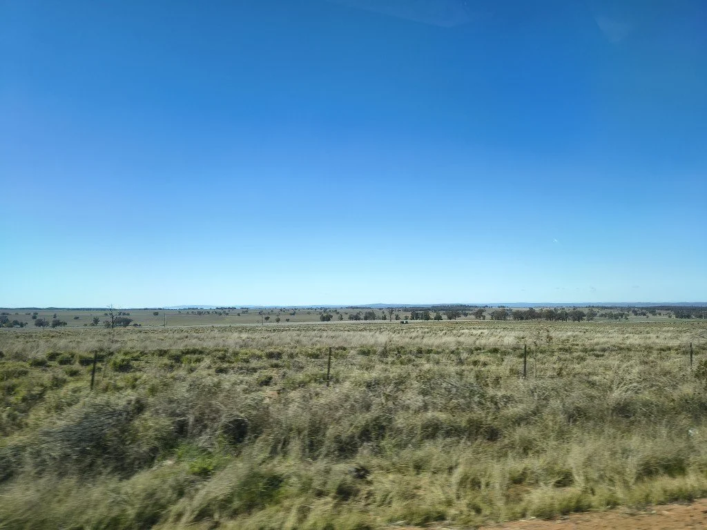IMG_20260801_112108010_HDR (Medium).jpg