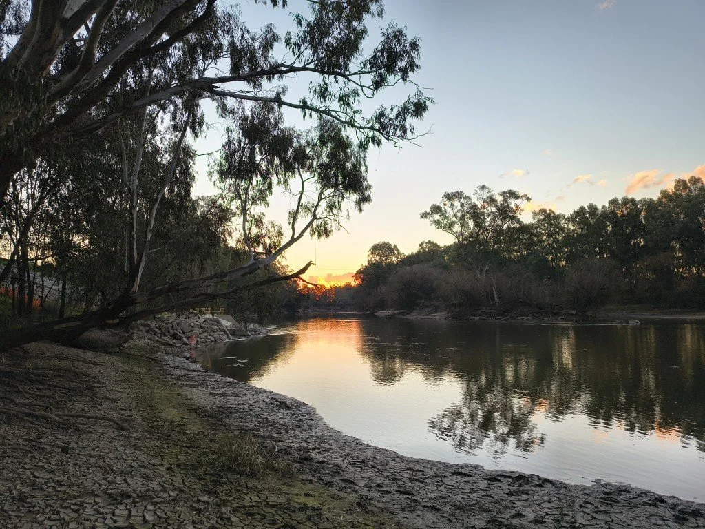 The Murrumbidgee River at Wagga Wagga.