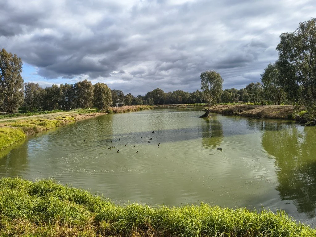 IMG_20260806_150021838_HDR (Medium).jpg