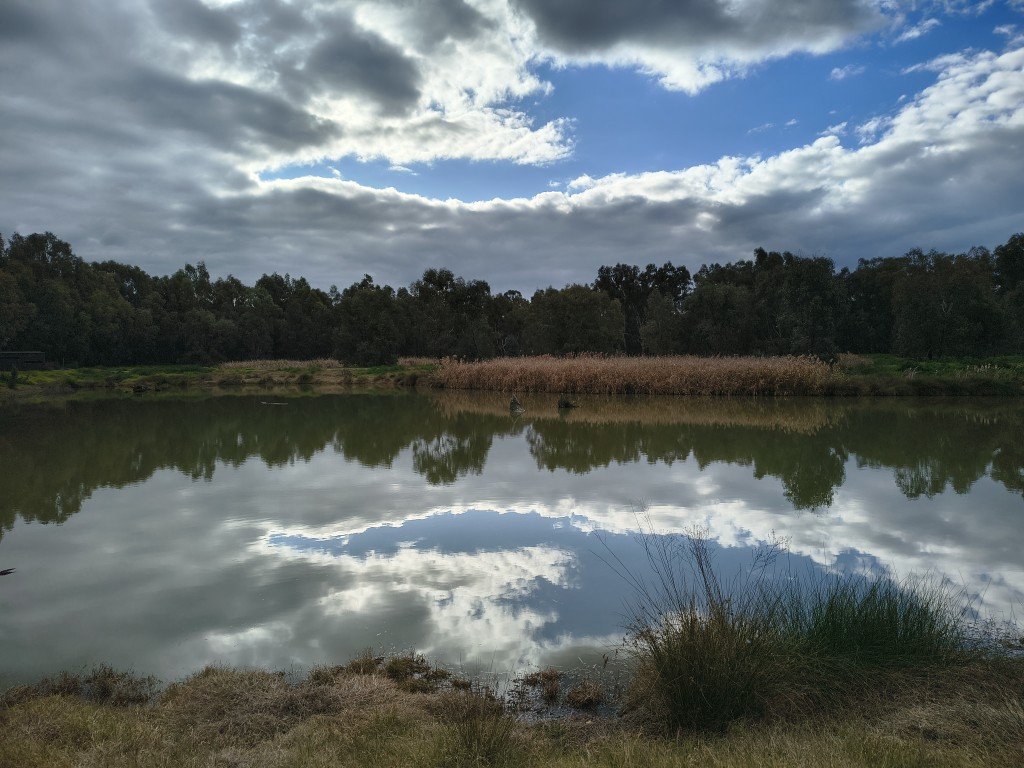 IMG_20260806_151123246_HDR (Medium).jpg