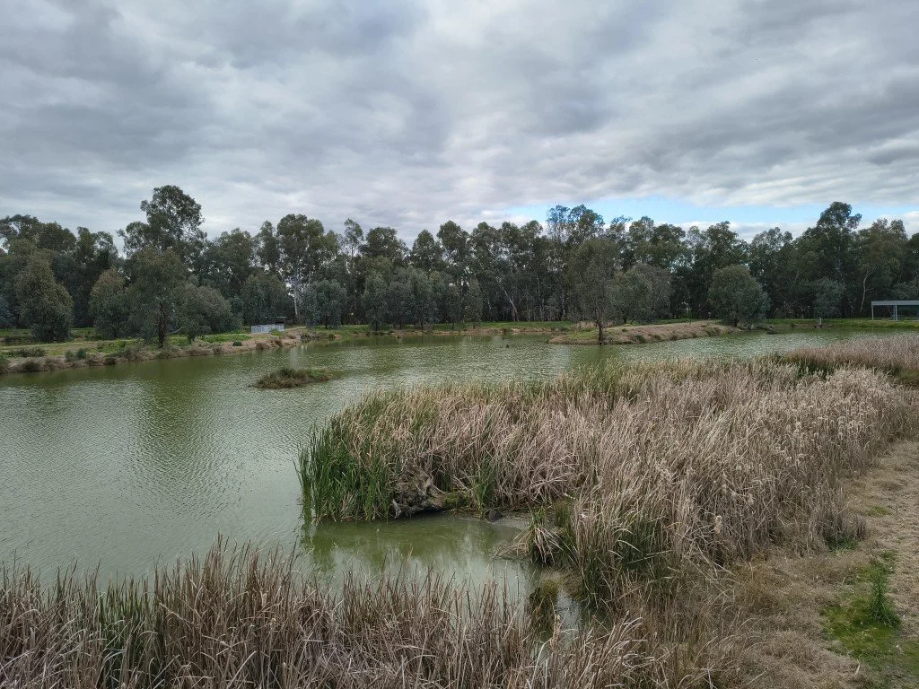 IMG_20260806_155004016_HDR (Medium).jpg