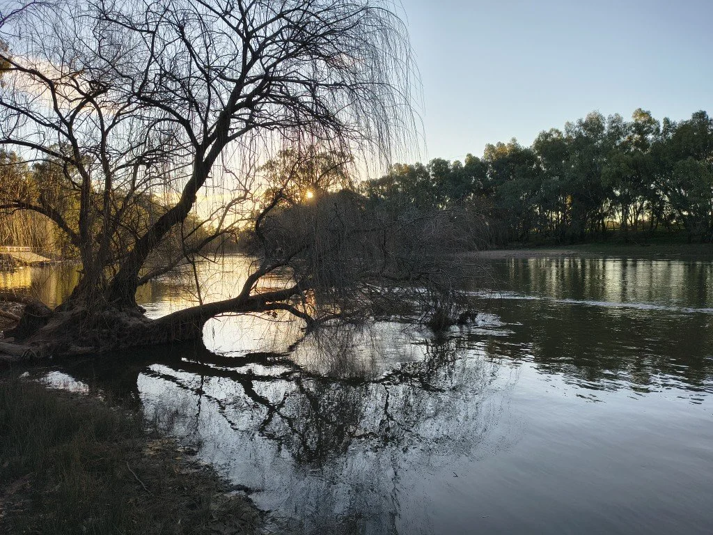 IMG_20260807_165552826_HDR (Medium).jpg