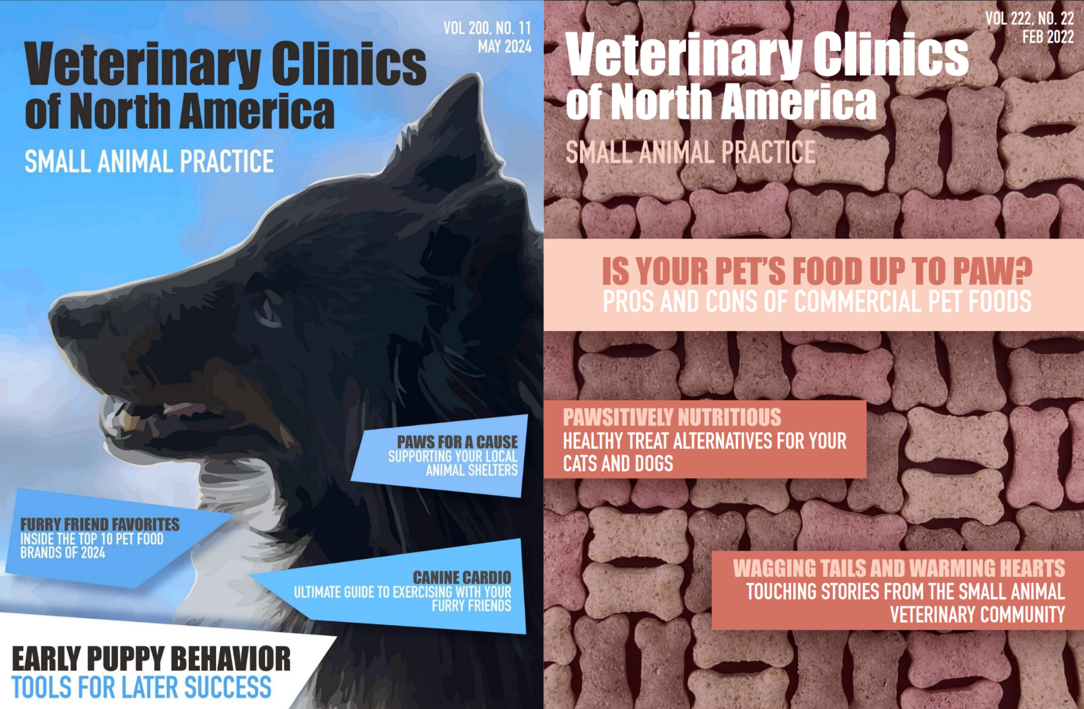 Magazine Covers Project, InDesign/Illustrator designs, 2024