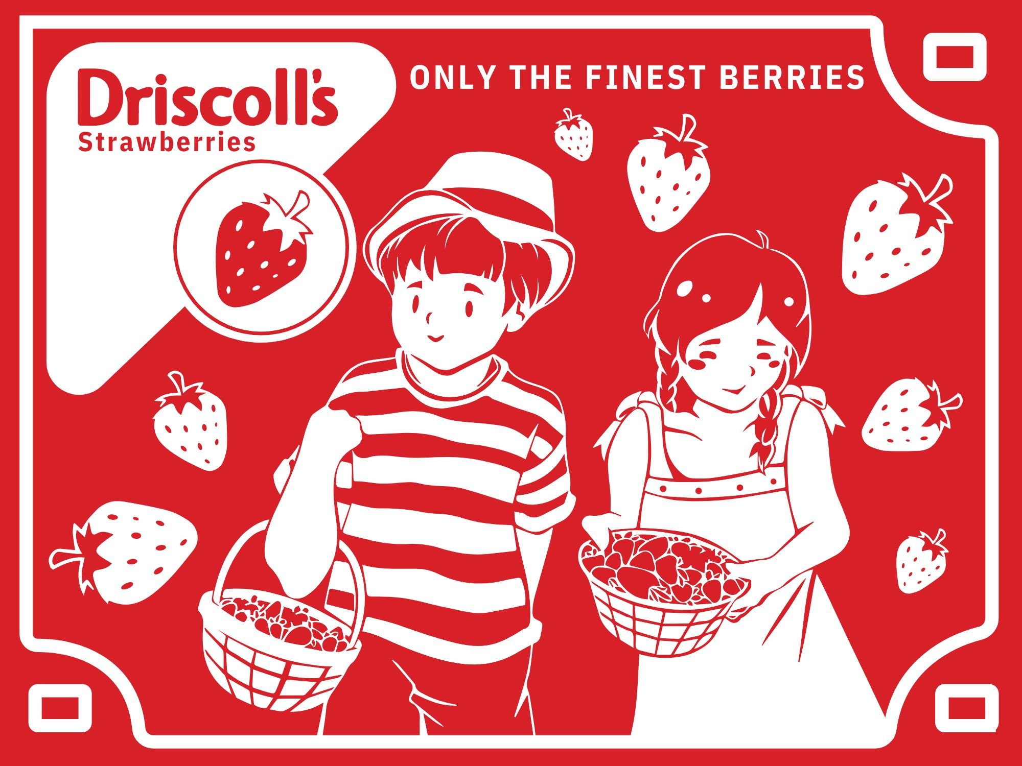 Driscoll's poster, Illustrator design, 2023