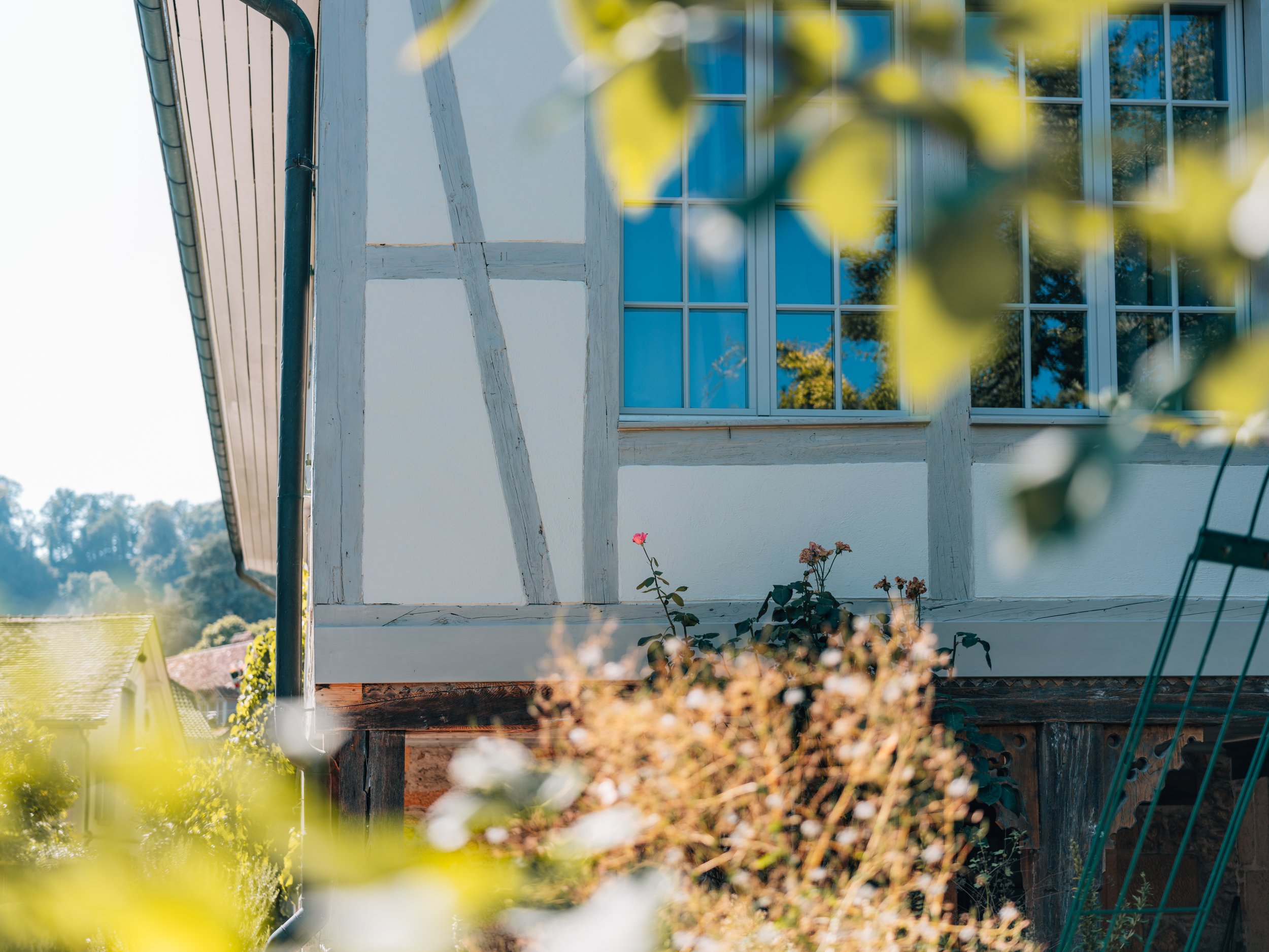 2024.08.29 Malerei Mäder-67.jpg