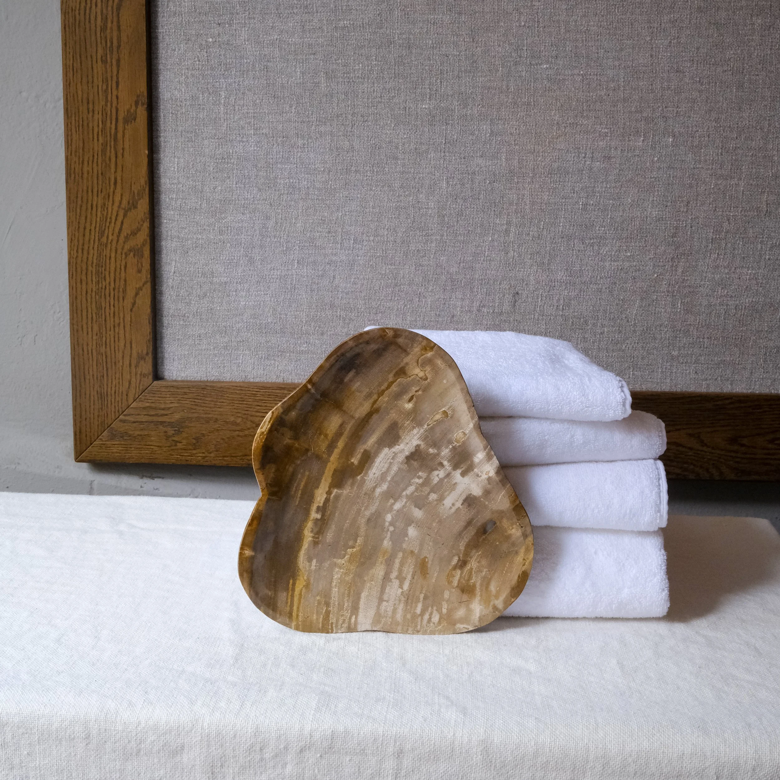 Fat petrified wood1.jpg