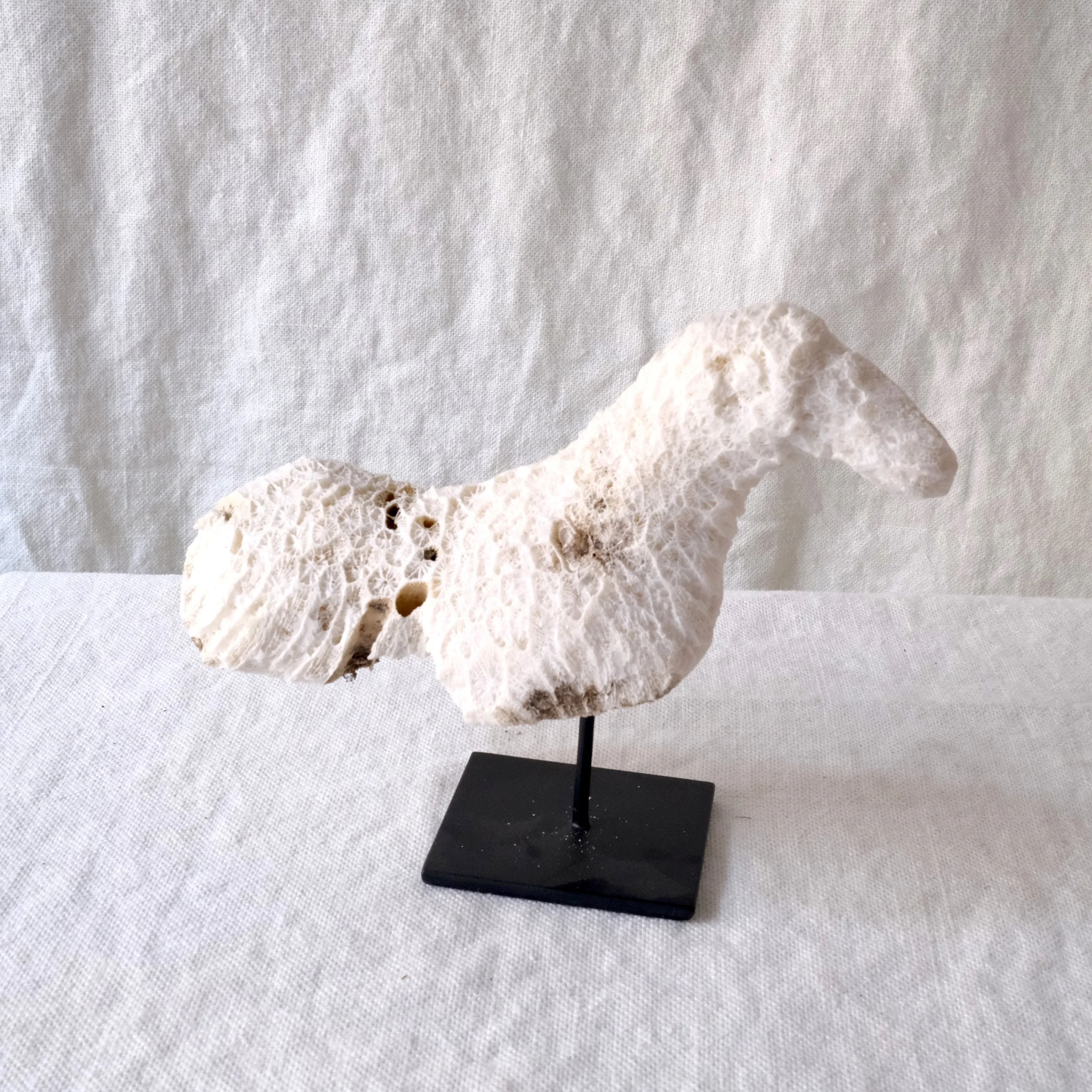 Fåglar i blekt korall Nr.2.jpeg