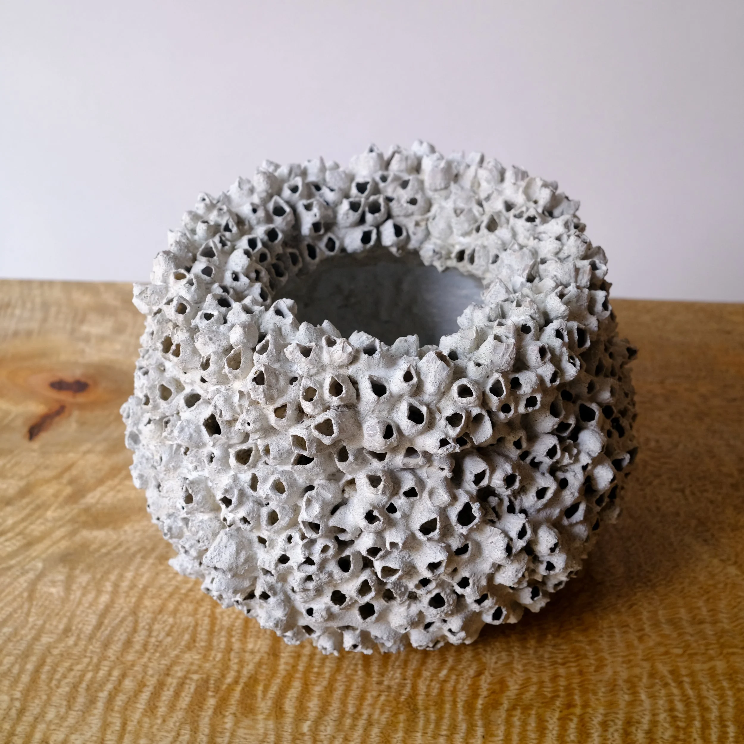 05050138 - Barnacle pot small2.jpg