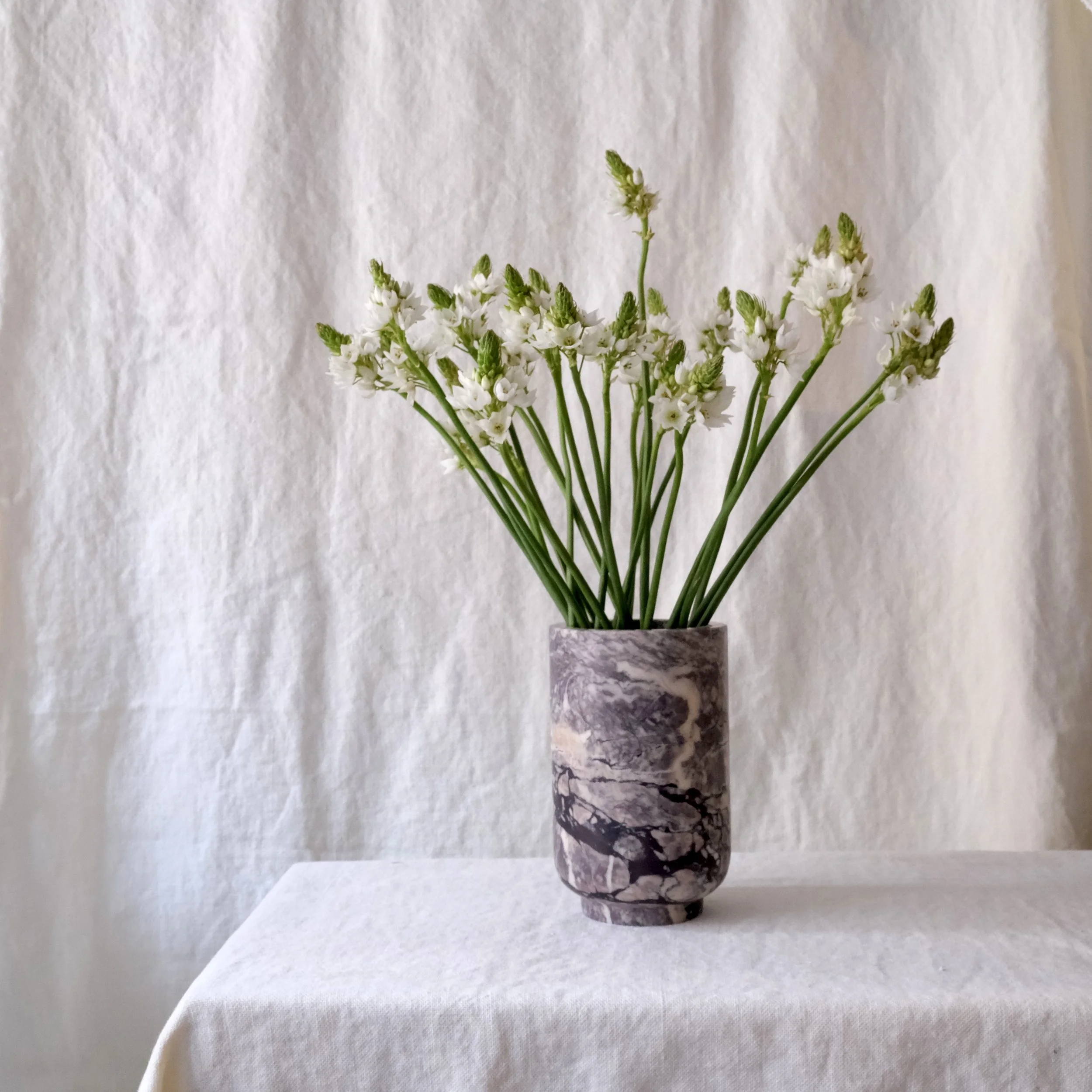 05140019 Marmorkärl Stevie2.jpeg