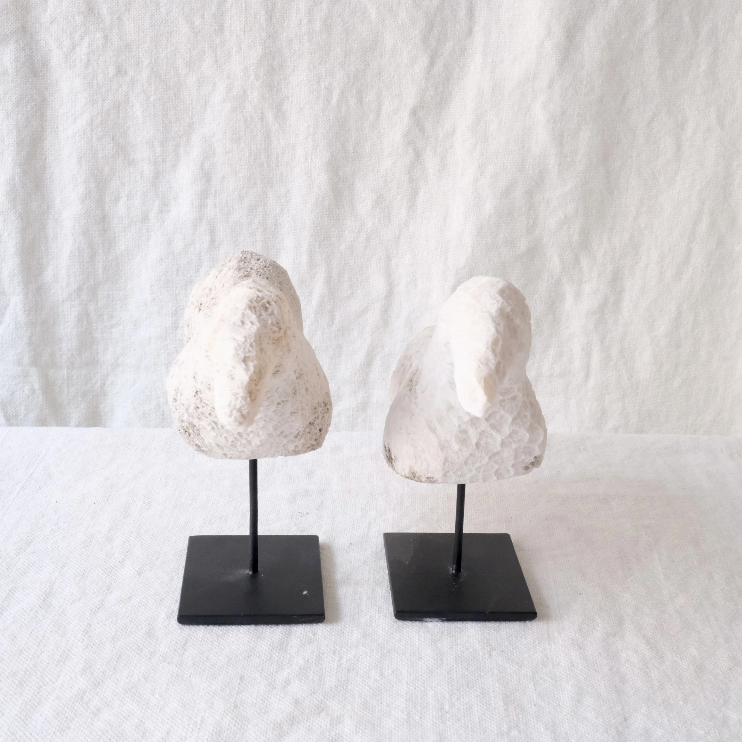 Fåglar i blekt korall2.jpeg