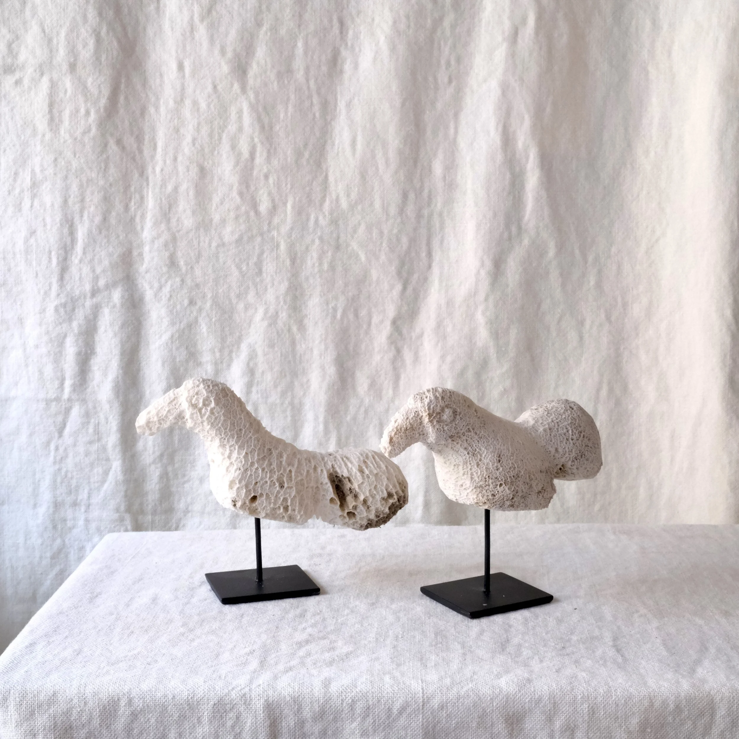 Fåglar i blekt korall1.jpeg